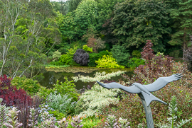 Dingle nursery