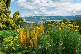Powis Castle