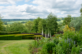 Special Plants Nursery