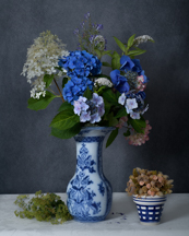 Bouquet d'hydrangeas