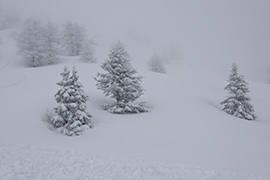 Alpes
