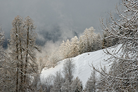 Alpes