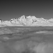 Tarentaise
