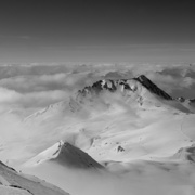 Tarentaise